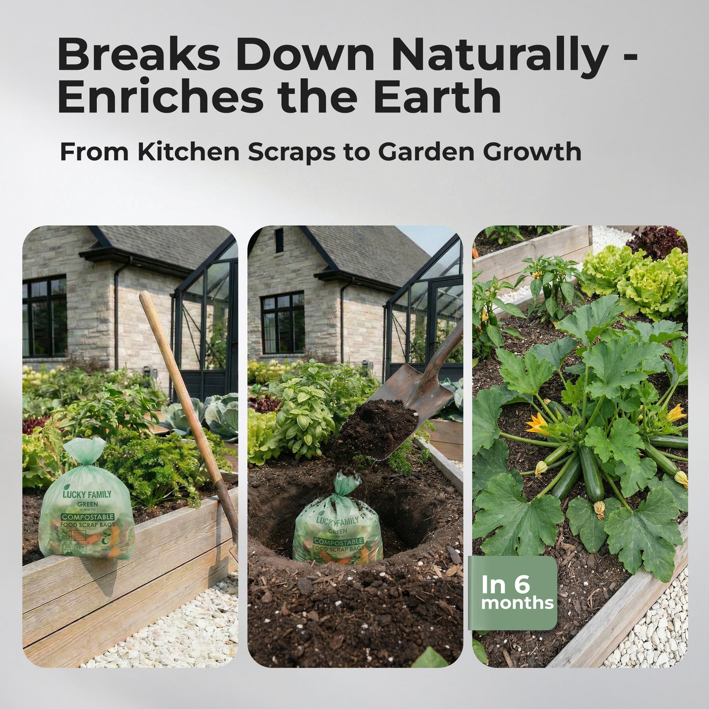 Lucky Family Green Compostable Trash Bags for Kitchen Compost Bins – 1.3 Gallon Small Compost Bags for Countertop Bin, Green Compostable Bags, BPI & OK Industrial Certified, Leak-Proof Food Waste Bags (50 Count)